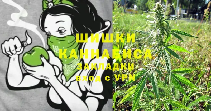 Бошки марихуана Ganja  Пыталово 